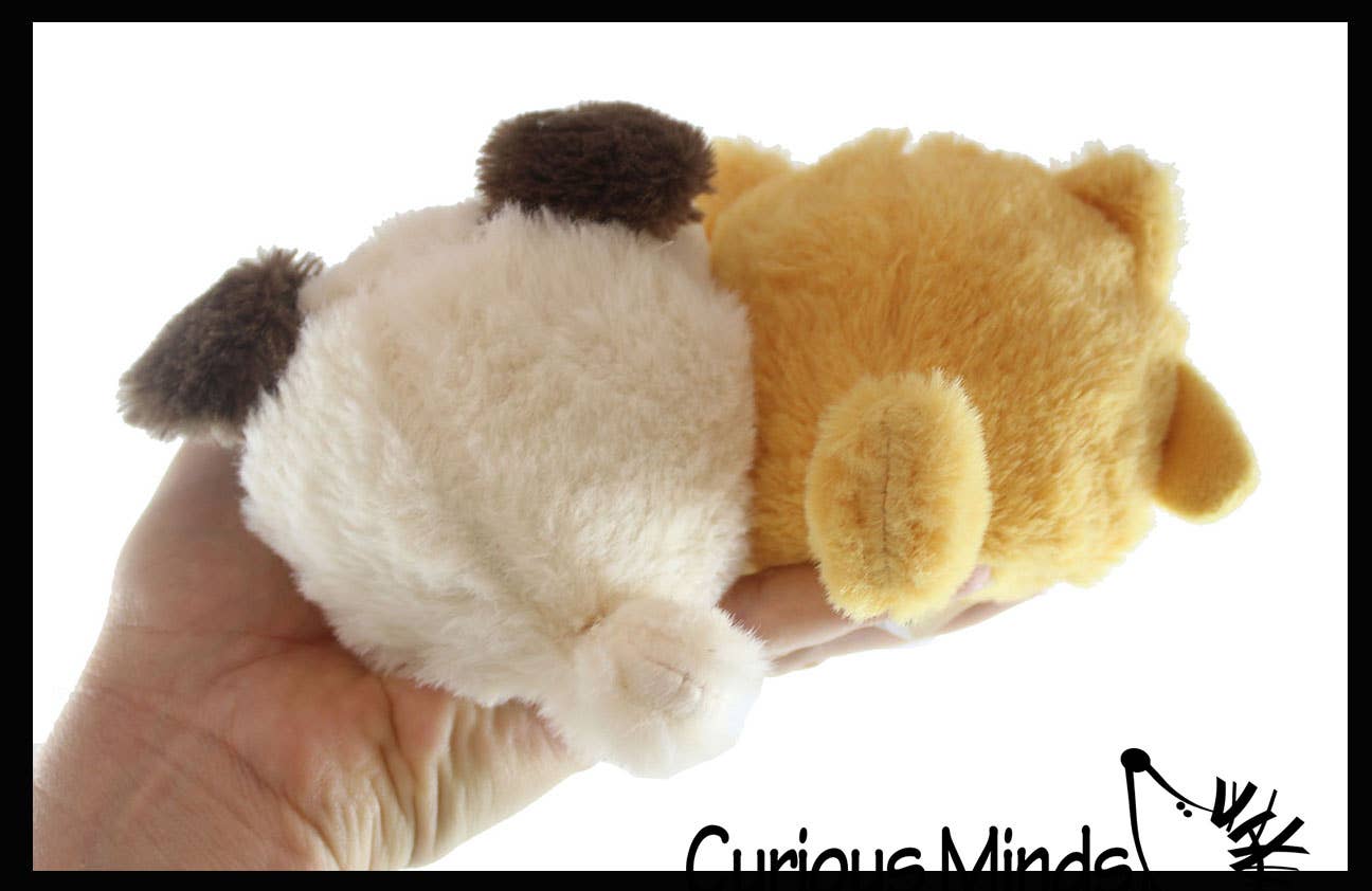 Dog Stress Balls