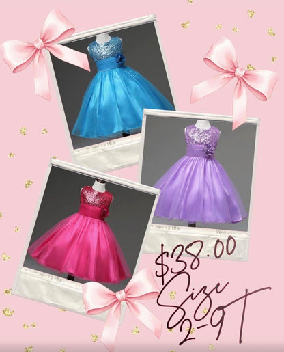 $38 Pre-order Princess Dress