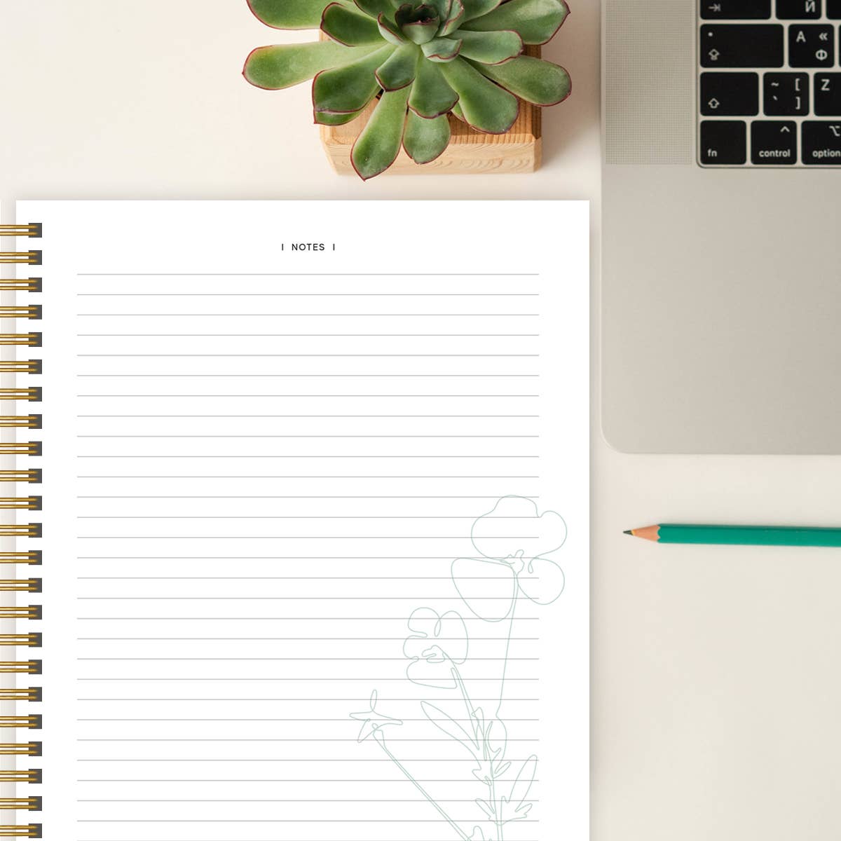 The Bible In A Year: A 52-Week Study