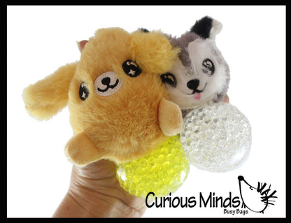 Dog Stress Balls