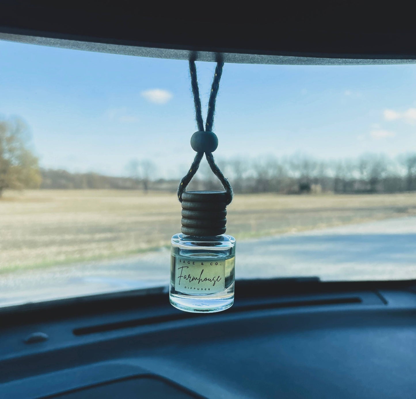 TikTok Car Diffuser
